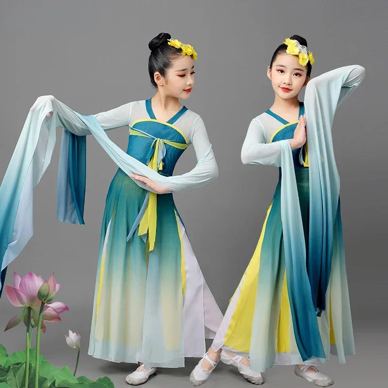 Chinese Folk Dance Classical Water Sleeve Performance Clothing Girls Traditional Yangko Dance Ancient National Fan Dance Outfit