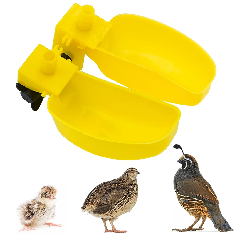 5 Sets Bird Quail Water Drinker Bowl Drinking Cups Automatic Quail Waterers for 10Mm Pipe Bird Parrot Drinking Fountains