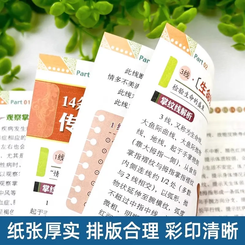 Graphic Guide to Ancient Chinese Medicine: Visual Yang Sheng Secrets from Yellow Emperor's Canon