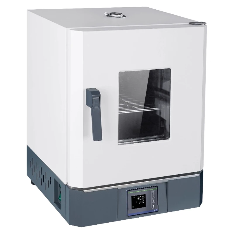 15.6L Electric constant temperature incubator, seed small germination, laboratory microbial fermentation