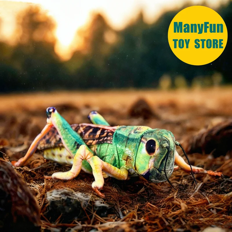 

Locust Plush Toy Realistic Grasshopper Plushie Lifelike Cricket Stuffed Animal Katydid Simulation Doll Toy Gift