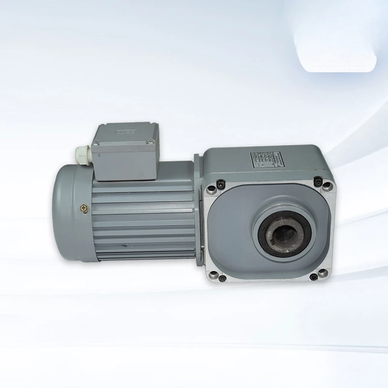 

Medium R Series 200W Right Angle Gear Box Energy-Saving Straight Shaft Reduction Motor