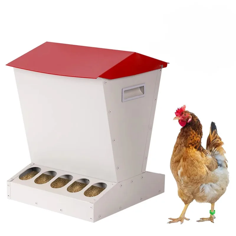 Alimentador automático de frango de alta qualidade, alimentadores de aves para galinhas, 10 furos, calha de alimentação de frango para venda