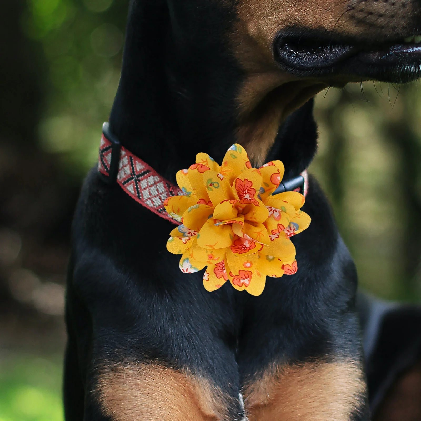 

10Pcs Colorful Pet Collar Flowers Dog Flower Collar Puppy Grooming Accessories Party Photo Shoot Pet Neck Accessory