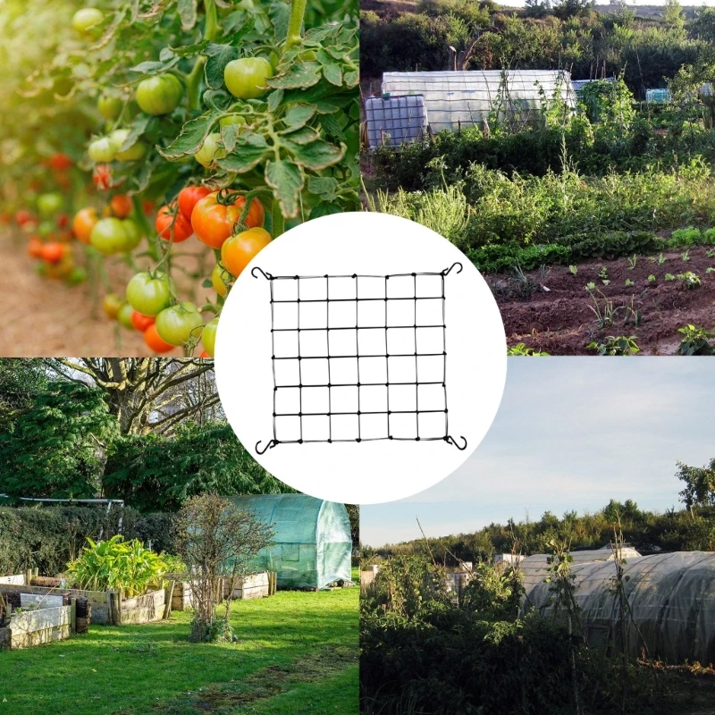 Grow Tent Plant Net Scrog Net 80x80cm Hydroponic Support Plant Net Growth Net, Elastic for Gardening Garden