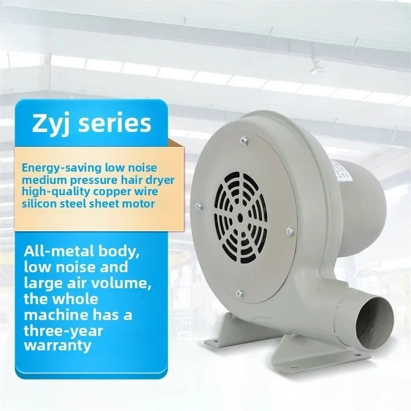 Fan Industrial Medium Pressure Blower Boiler Induced Fan Canteen Hair Dryer Combustion ZYJD-100