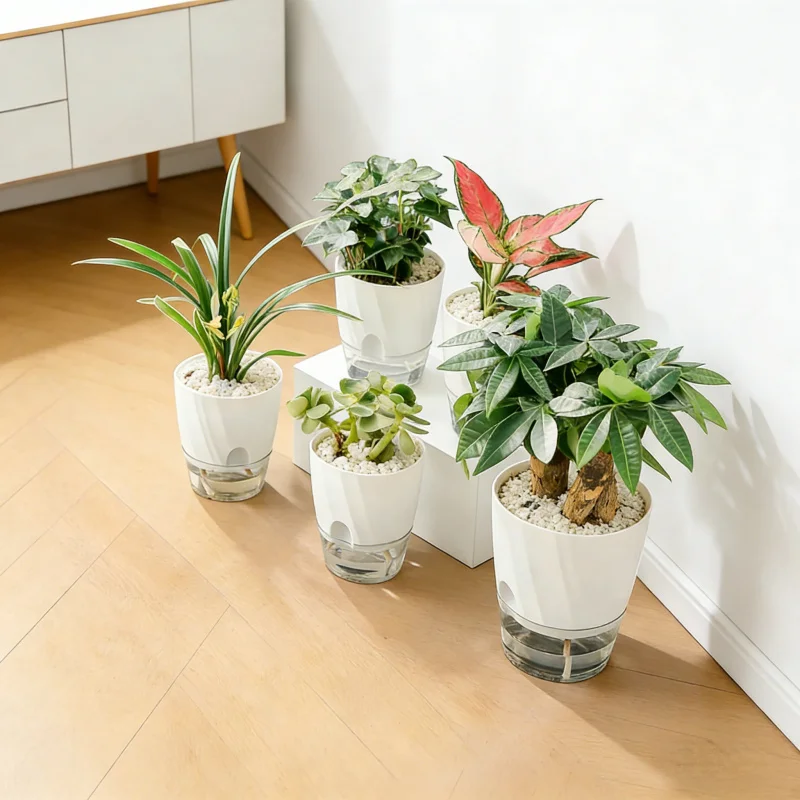 Home Use Thickened Transparent Plastic Self-Watering Green Radish Flower Pot Hydroponic Special Indoor Green Plant Container wit