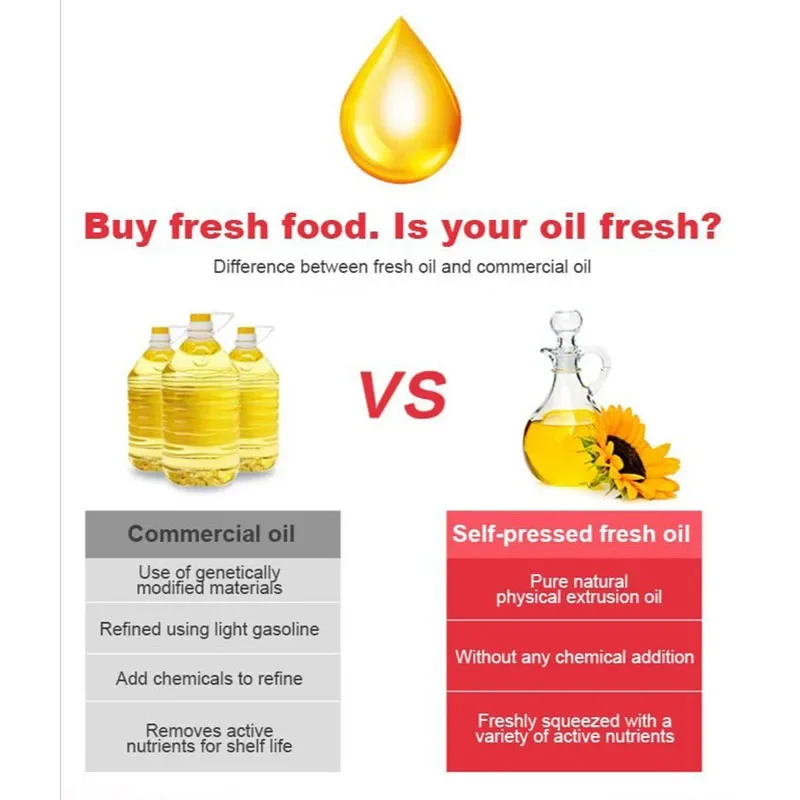 Small Household Smart Stainless Steel Oil Pressers Cross-Border Wholesale Kitchen Appliance for Peanut Edible Oil Processing