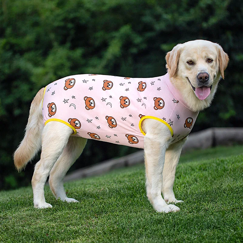 

Big Golden Retriever Labrador Medium Large Dog All-Inclusive Anti-Licking Clothes