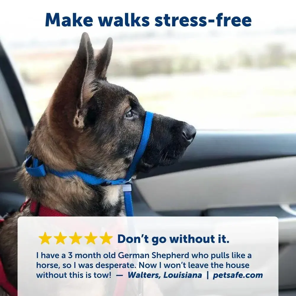No-Pull Dog Headcollar Veterinary Designed Leash & Harness Accessory Stops Pulling & Choking Comfortable & Adjustable Durable 5