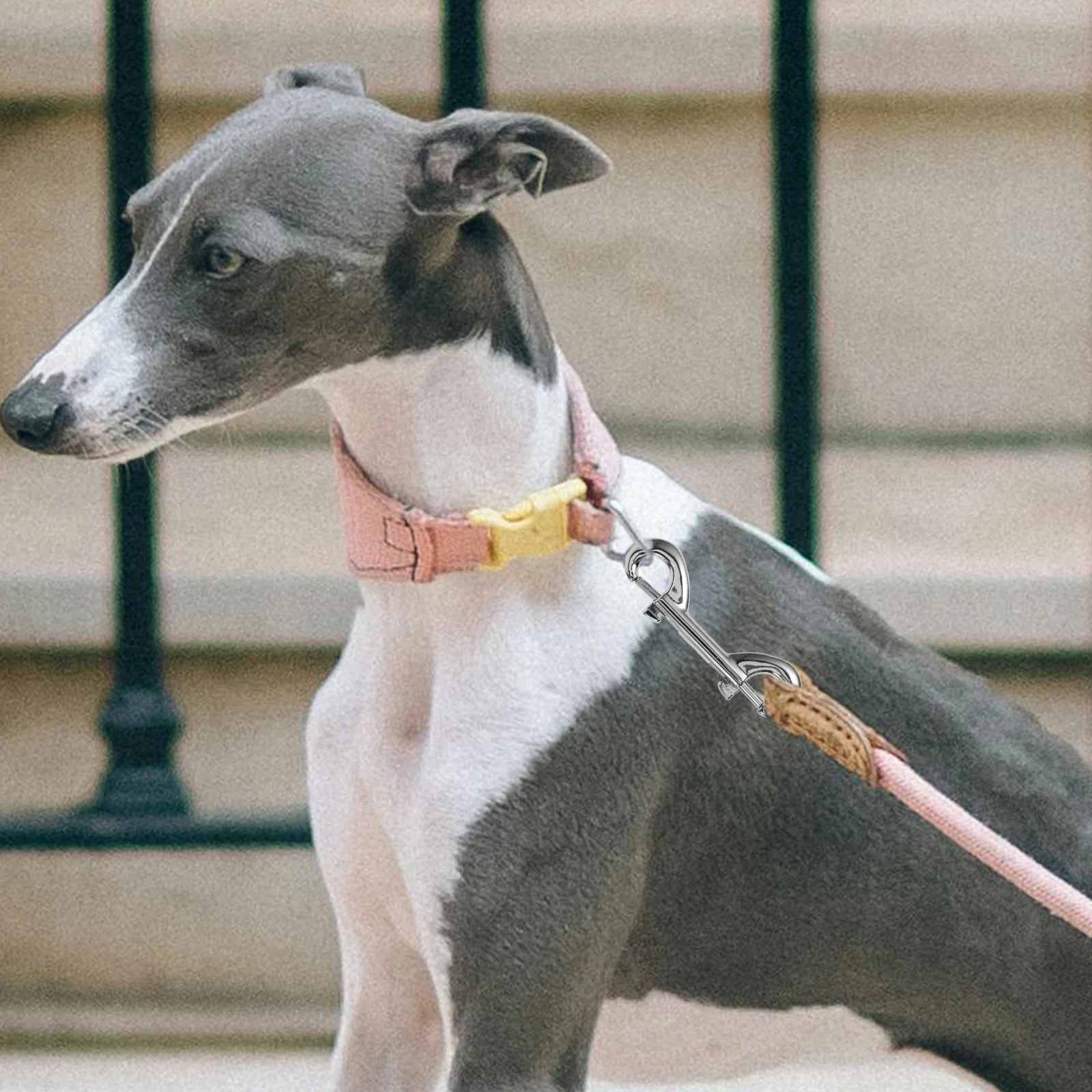 

10Pcs Dog Leash Snap Hooks Double Ended Zinc Alloy Heavy Duty Metal Clips for Pet Leash Straps Bag Straps Tie-Downs