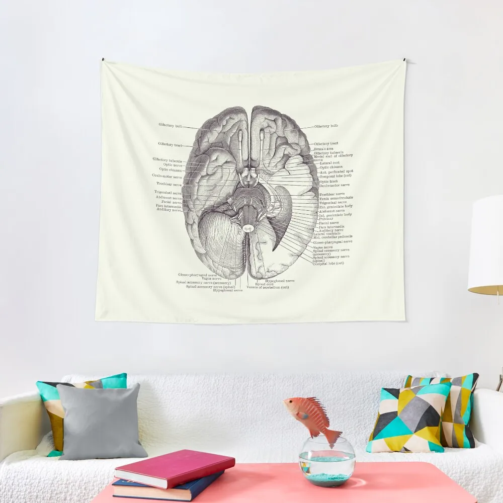 Brain Nervous System Diagram - Vintage Anatomy 2 Tapestry Decoration For Bedroom Wallpaper Bedroom Tapestry