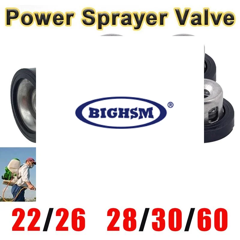 

6Pcs Power Sprayer Valve KC25 Valve Check Assembly 22a/25a/28a/30a Pressure Washer Sprayer Valve