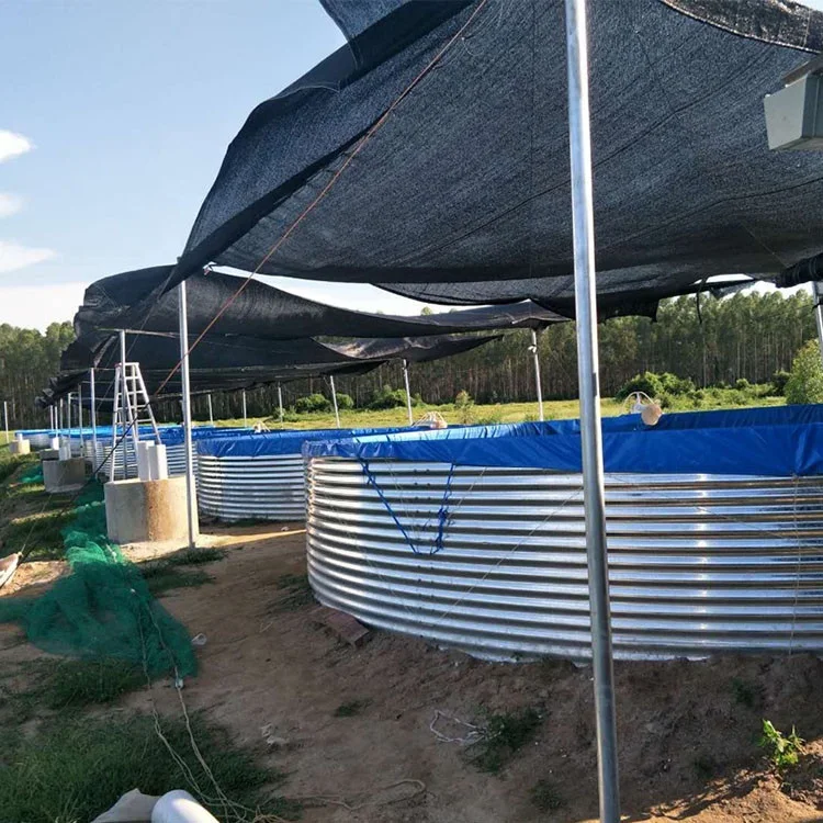 AIROW ST Tilapia Catfish Shrimp Ras Aquaculture Systems Tarpaulin Fish Pond Ras System Fish Tank Fish Farming