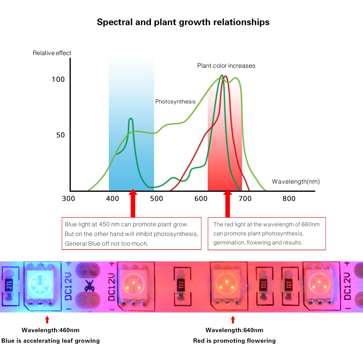 Фотолампа для выращивания растений, 5 м, полный спектр, 12 В, 60 светодиодов/м, 5050 SMD, фотолампа для растений, семян, теплицы для выращивания растений в помещении, Гидропоника