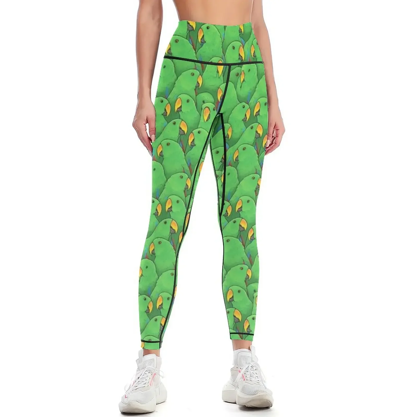

Male Eclectus Parrots Leggings for girls trousers Women's high waist Women's push up Womens Leggings