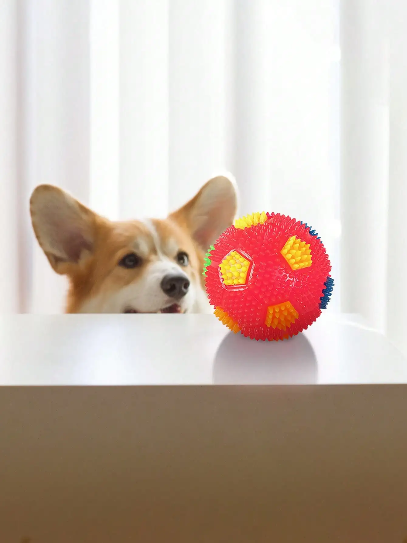 Mini pelota de fútbol para perros pequeños – Caucho natural duradera