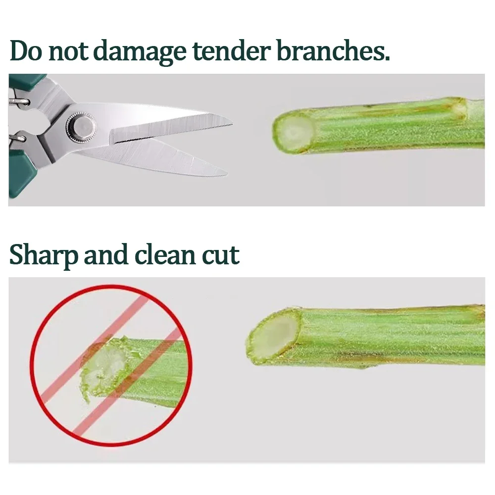 مقصات تشذيب الرأس المستقيمة 190 مم مع مقبض غير قابل للانزلاق مقص حديقة من الفولاذ المقاوم للصدأ لتقليم بونساي المنزلي