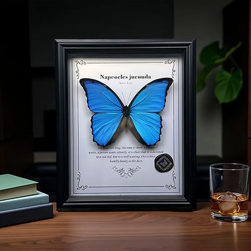 Blue Morpho Moon Shine Museum Inspired Wall Art Decor 10 Inch Or 8 Inch Wooden Frame with Box