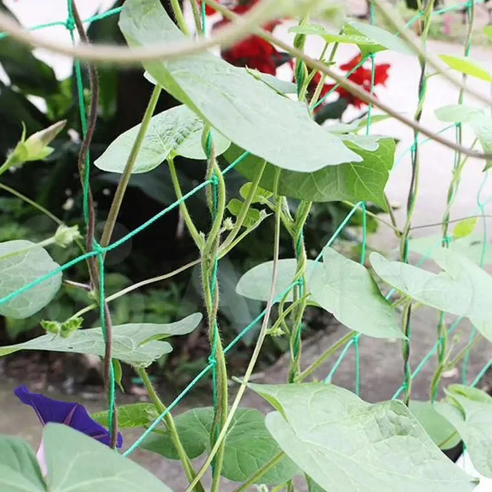

Thick Nylon Plant Trellis Strong Garden Climbing Netting Heavy Duty Mesh Net for Cucumber Tomato Grape Garden Accessories