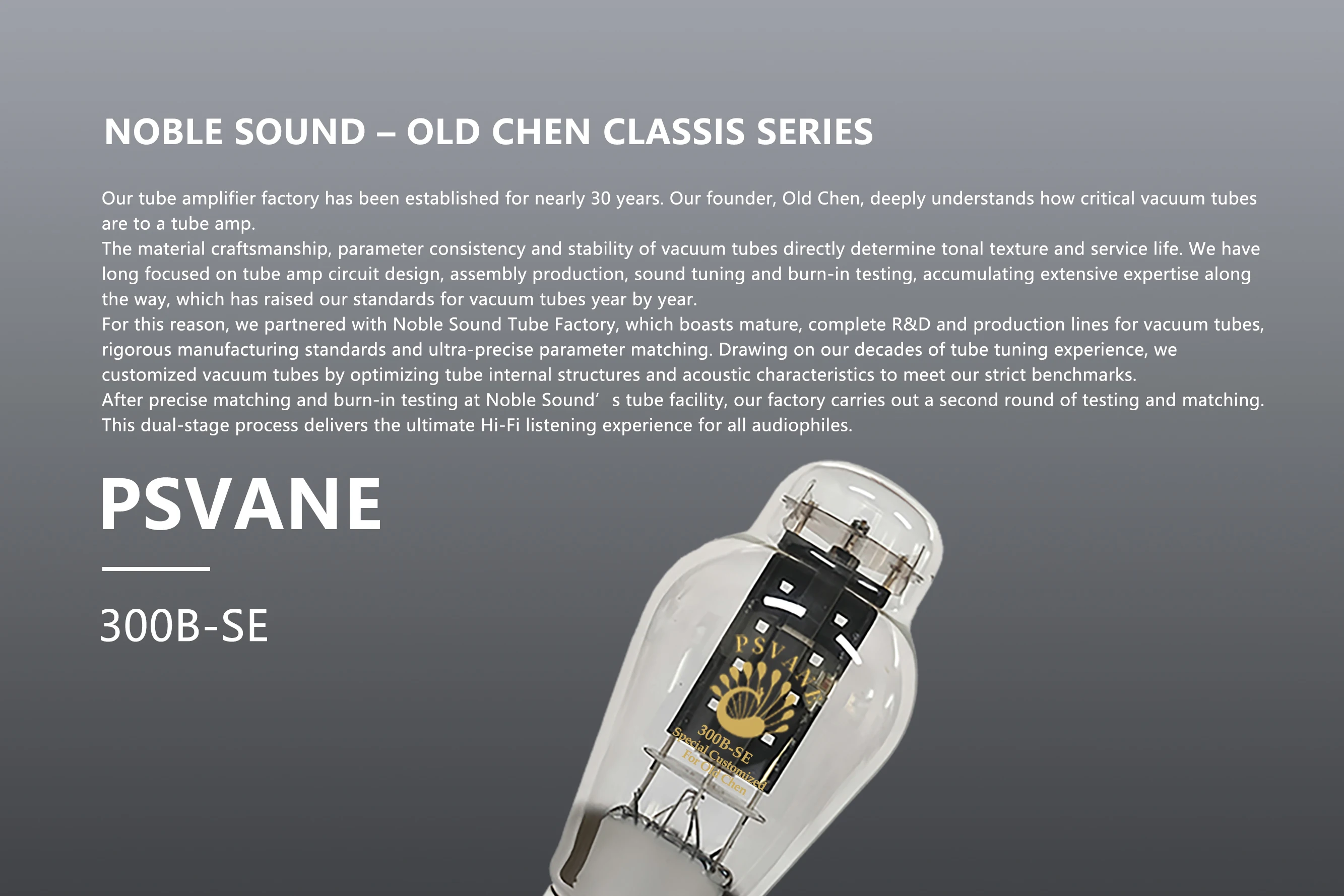 PSVANE/OLDCHEN 300B-SE Vakuumröhre, Ersatz für 300B / 300B-N / 300B-PT / 300B-Z, High-Fidelity Audio-Röhrenverstärker – Detail 1
