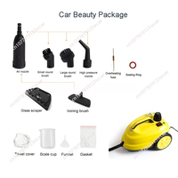 2000W Multi-function Steam Cleaner High Temperature Sterilization Disinfection Car Interior Steam Cleaner For Floor Kitchen Car