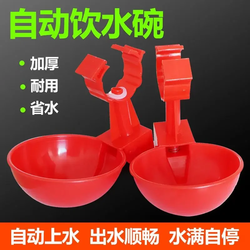 

A Automatic poultry drinking bowl, poultry drinking water dispenser, hanging cup, spout, bowl style drinking water aquaculture