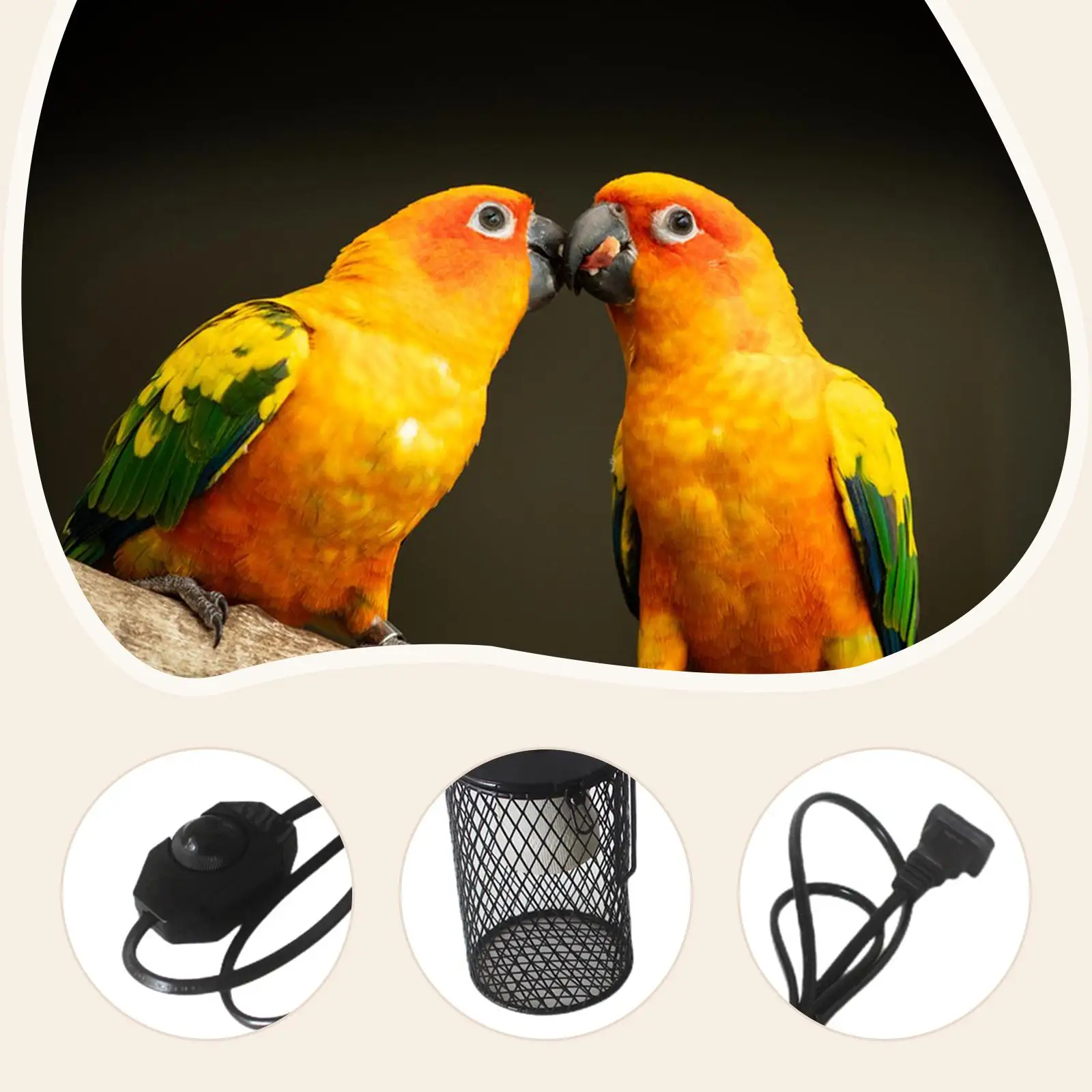 غطاء خفيف من Basking قفص شبكي خفيف لسلحفاة ثعبان التنين الملتحي #5