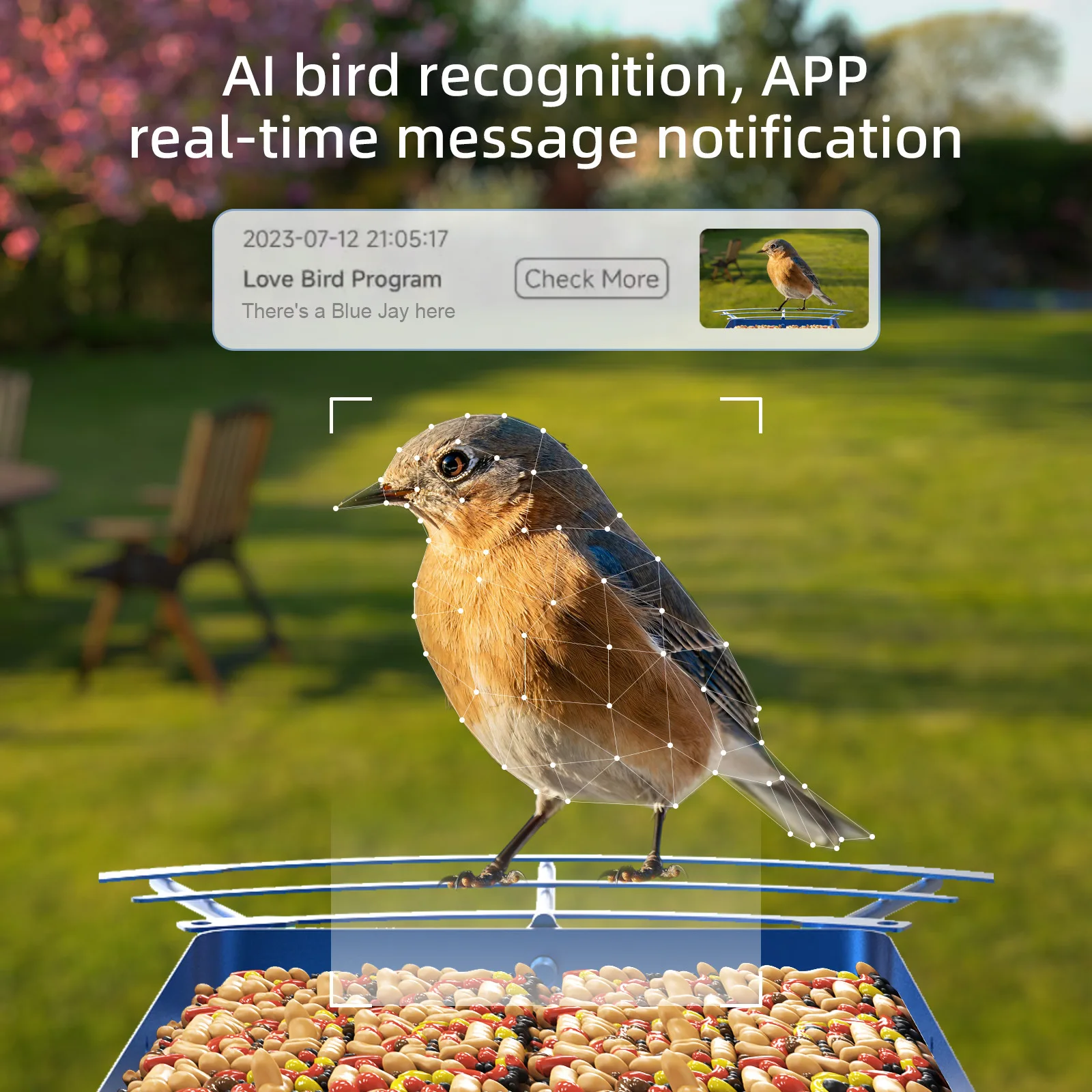 solar bird feeder house New Sm - đánh giá và giá Smart Garden Ideas