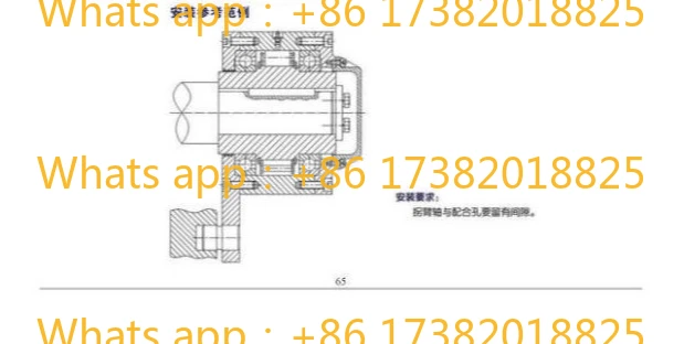 Non-contact backstop One-way overrunning clutch NF10 16 25 40 63