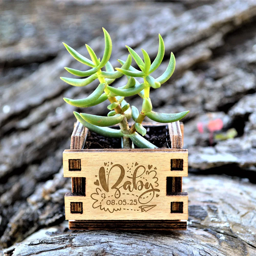 Personalized Mini Pot for Succulent Bridal Shower Favors, Bridal Shower Gifts for Guests Wooden Carved Souvenirs