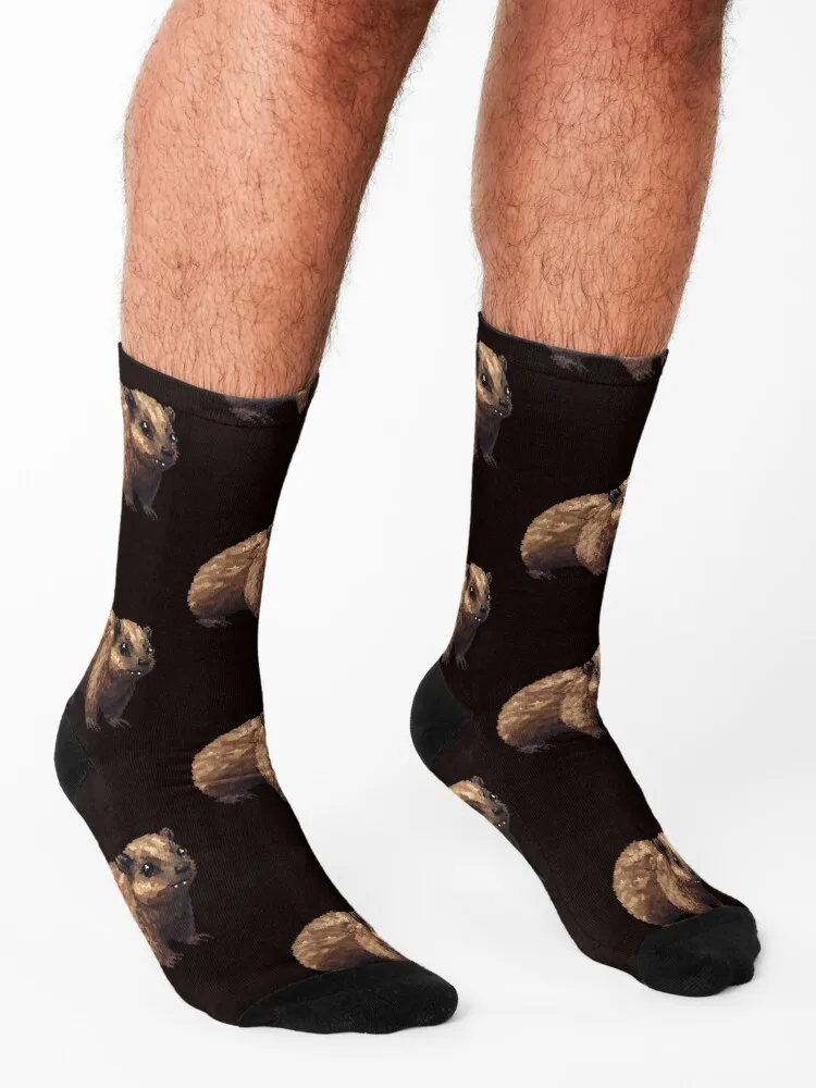 Rock Hyrax Pixel Art Socks cute funny sock Rugby hockey Man Socks Women's