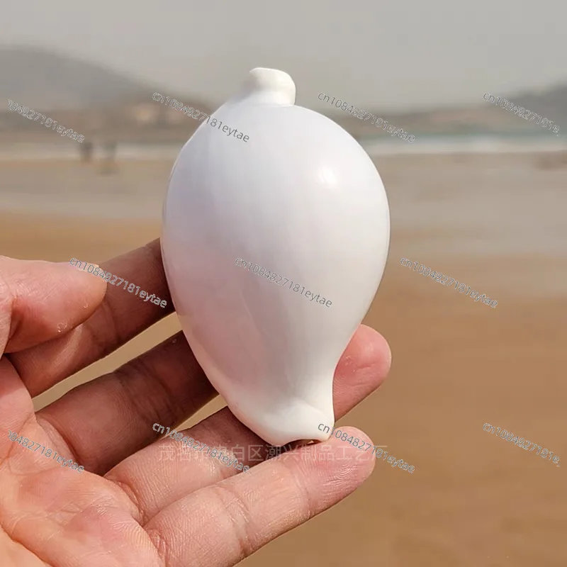 12pcs/Lot White Rabbit Conch Natural Shells, Aquarium & Home Decor, Wedding Wall Micro Landscape Creative Decoration