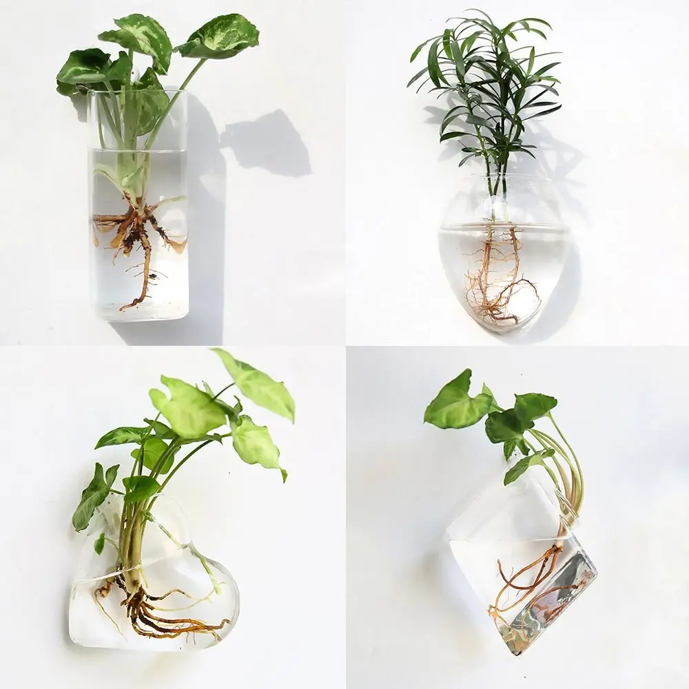 Cone Shape Wall Hanging Vase Transparent Hydroponics Plants Wall Planter Plant Holder Aquarium Container Fish Tank