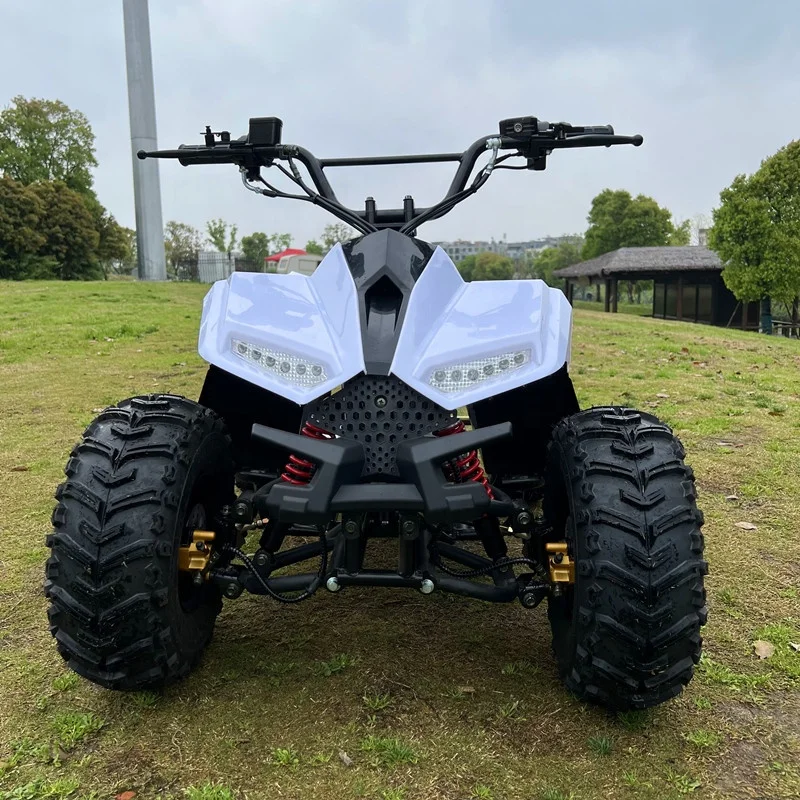 125cc 4-Stroke Automatic Chain Drive 2WD Four-wheeler All-terrain Beach Buggy Mountain ATV
