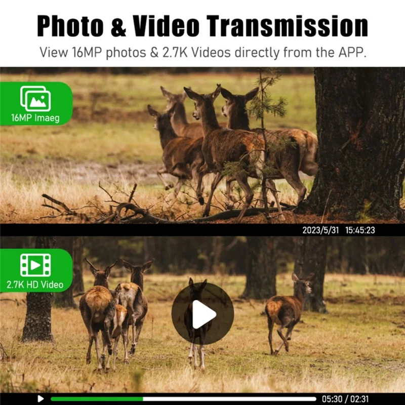 A13E-4G Sim Card LTE Cellular 4W Solar 7800Mah Battery Hunting Trail Motion Activated Night Vision 4MP IP66 Camera