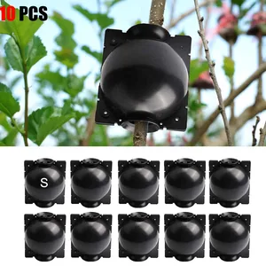 7 Hauptverkaufskugel Rooting - №7