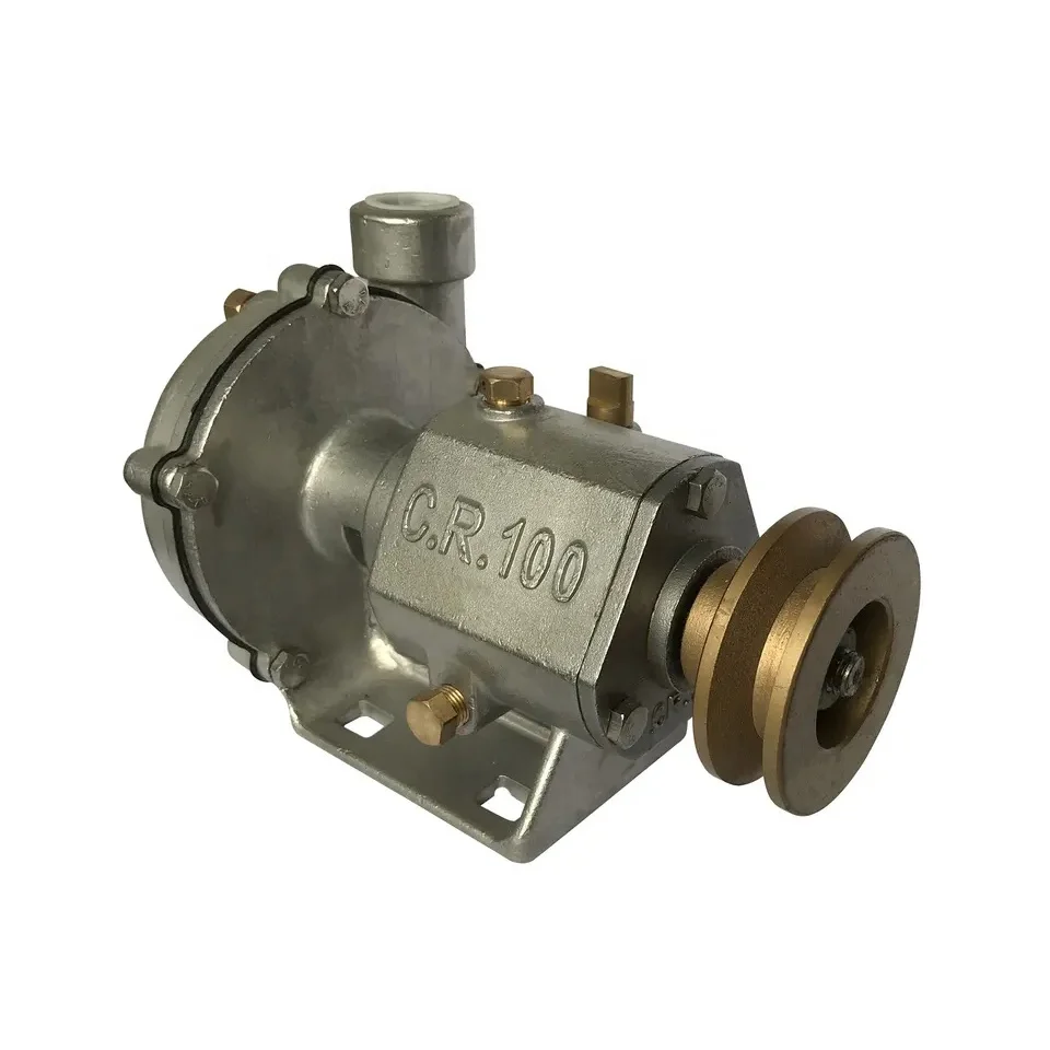 Marine cr100 Edelstahl Meerwasser pumpe Motor angetriebene Riemens cheibe elektrische Dieselmotor Ersatzteile