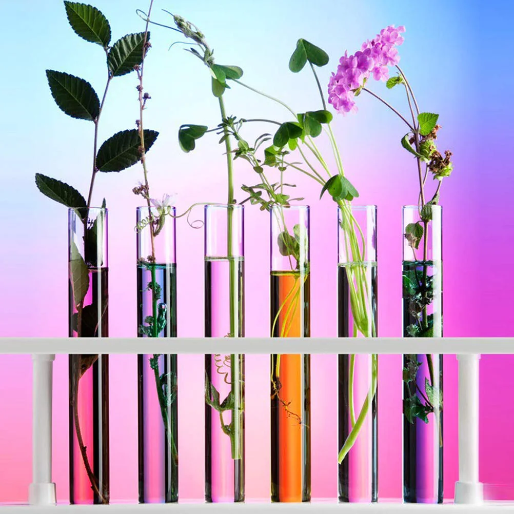 

10 Pcs Test Tube Terrarium Measuring Cup Sample Bottles Glass Tubes Storage Containers Laboratory Accessories Travel