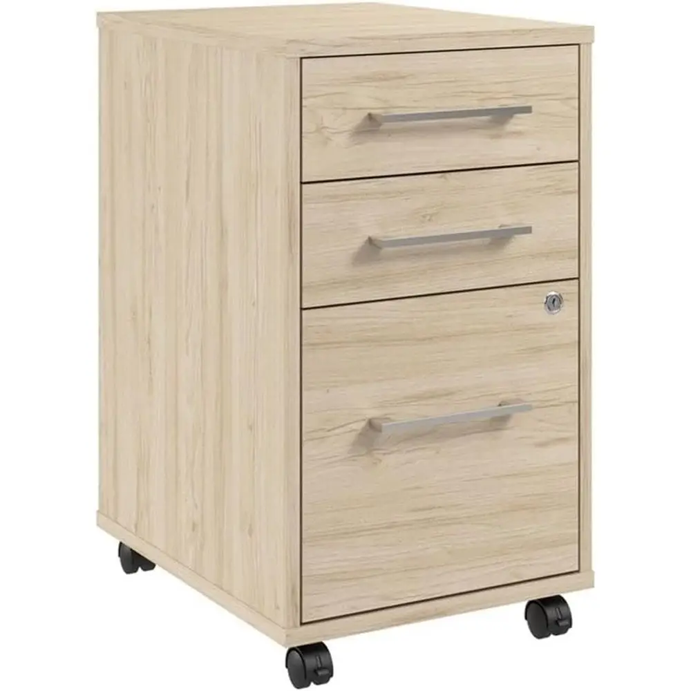 

Platinum Gray Rolling Cabinet for Mobile Document Storage in Home and Professional Office