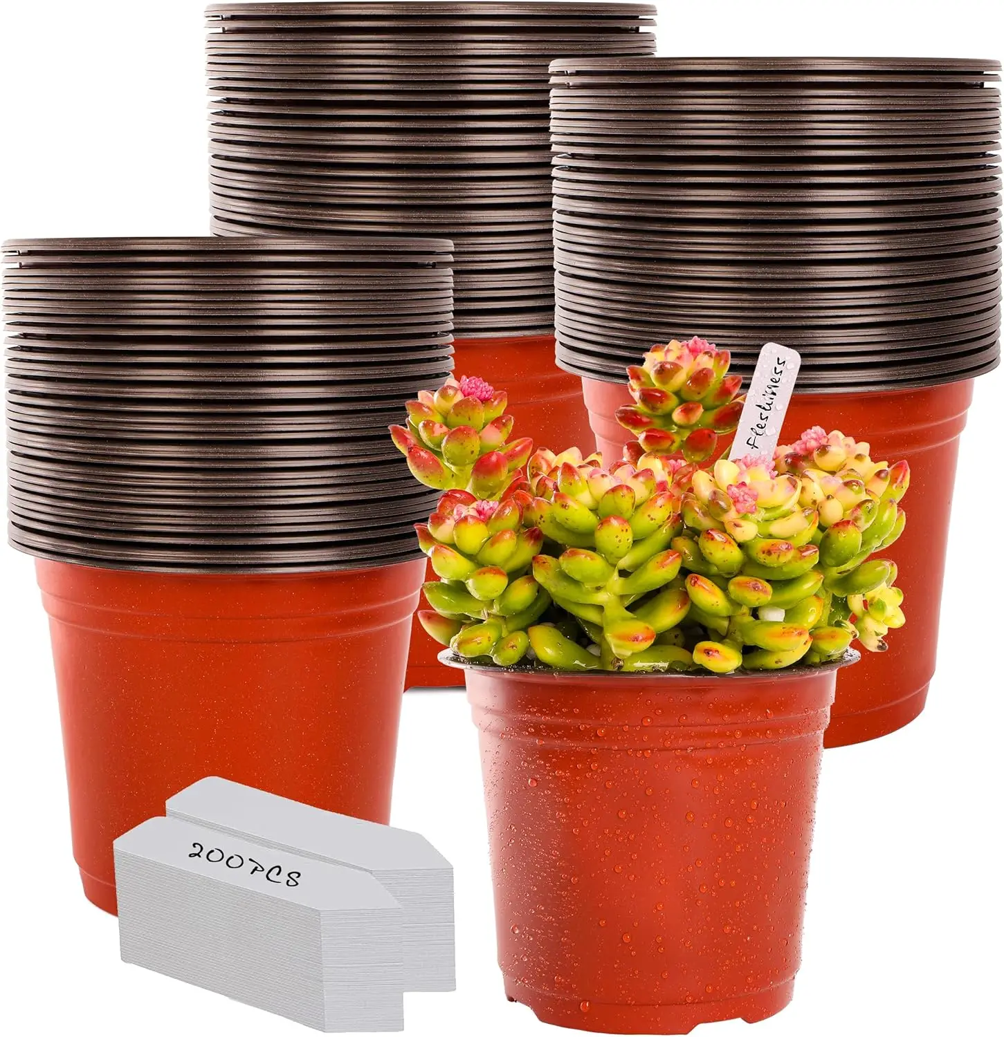 

6 Inch Plastic Plant Nursery Pot/Pots (200pcs) with 200 Plant Labels - Red Seedling Flower Containers (Indoor/Outdoor)