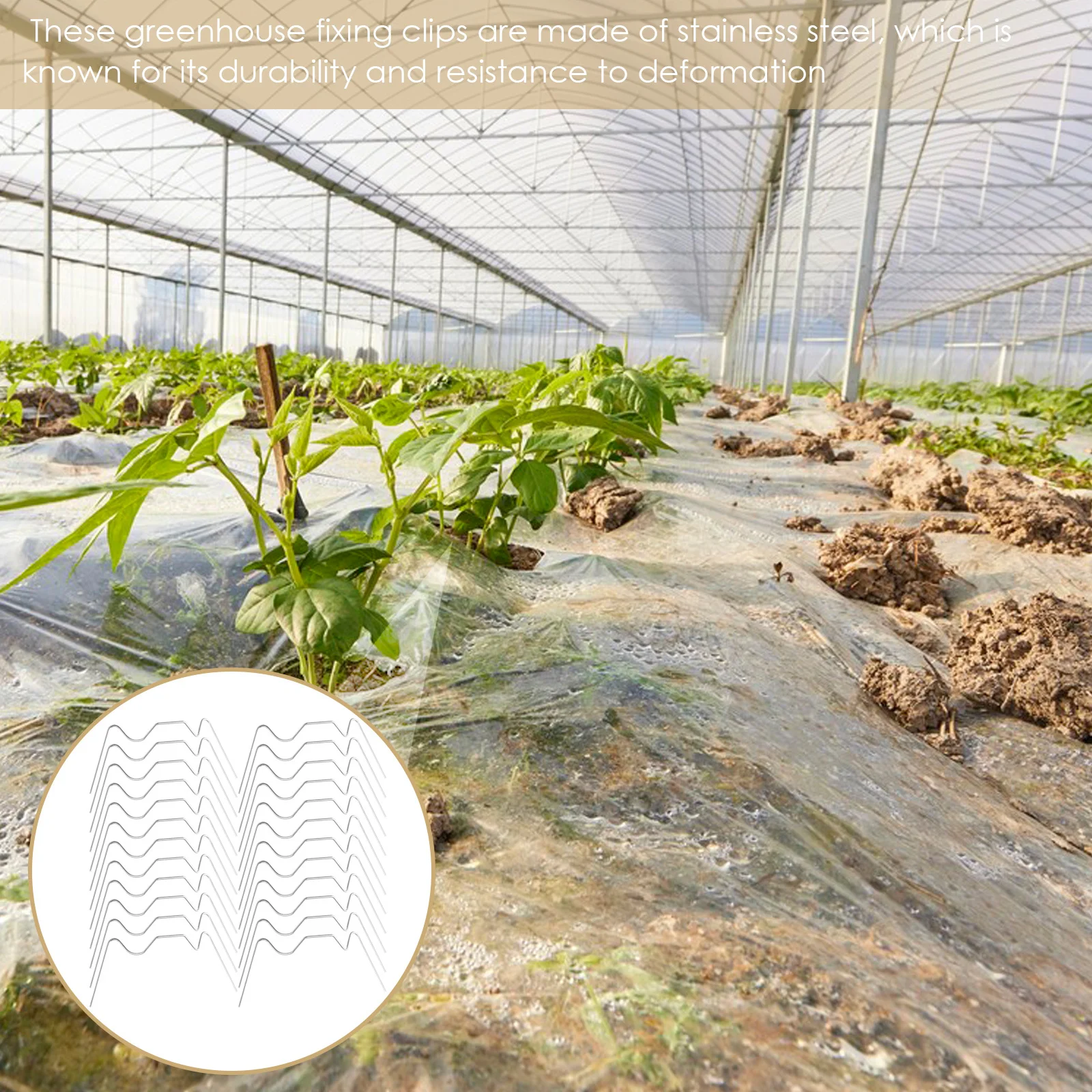 

25Pcs Greenhouse Glass W Type Clips Stainless Steel Fixing Clamps for Window Door Glazing Secure Hold Removable Fasteners