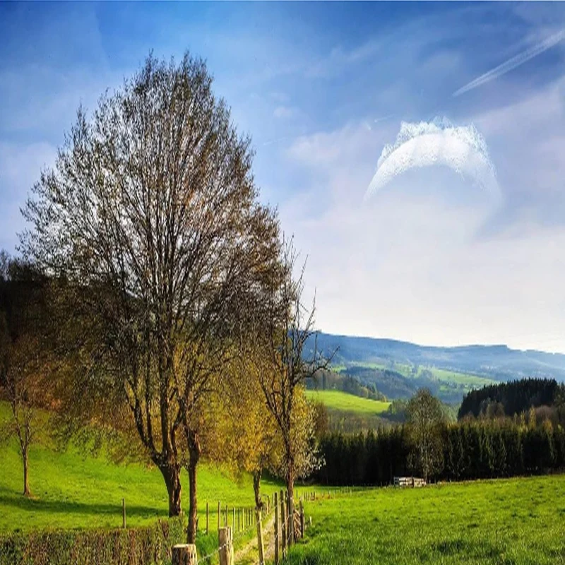 IFlight BOB57 2506 1500KV 6S FPV 모터 5mm 샤프트 프로페셔널 프리스타일 레이스 브러시리스 모터 FPV 예비 부품용