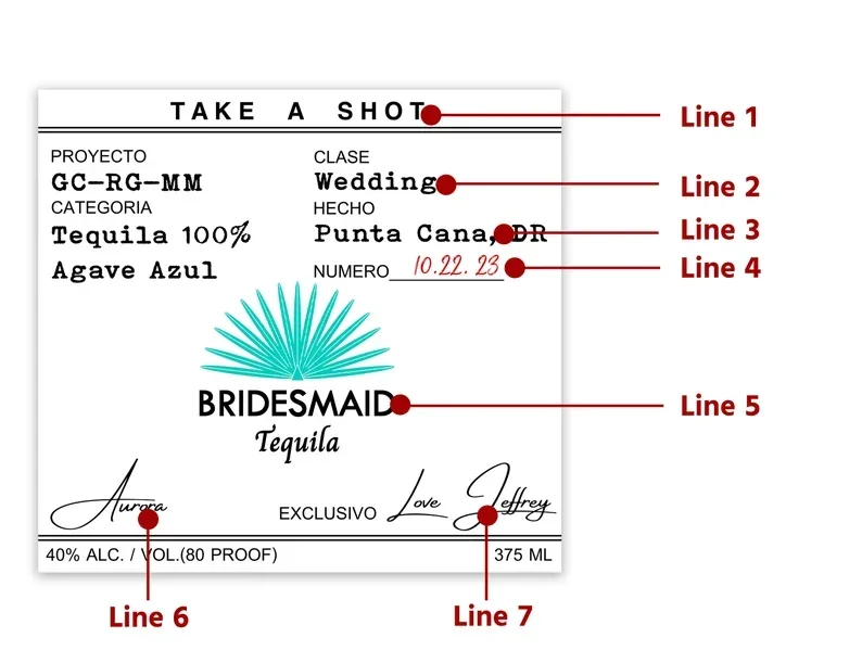 Personalized Birthday Casamigos Labels 50ml Birthday Favors Custom Tequila Shot Label 30th Bridesmaid Gift Fiesta Maid Of Honor