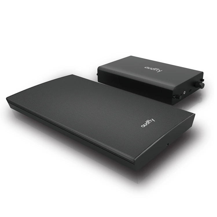 مكبر صوت TLF Audfly بالموجات فوق الصوتية مع نظام مكبرات الصوت اللاسلكية للمتاحف