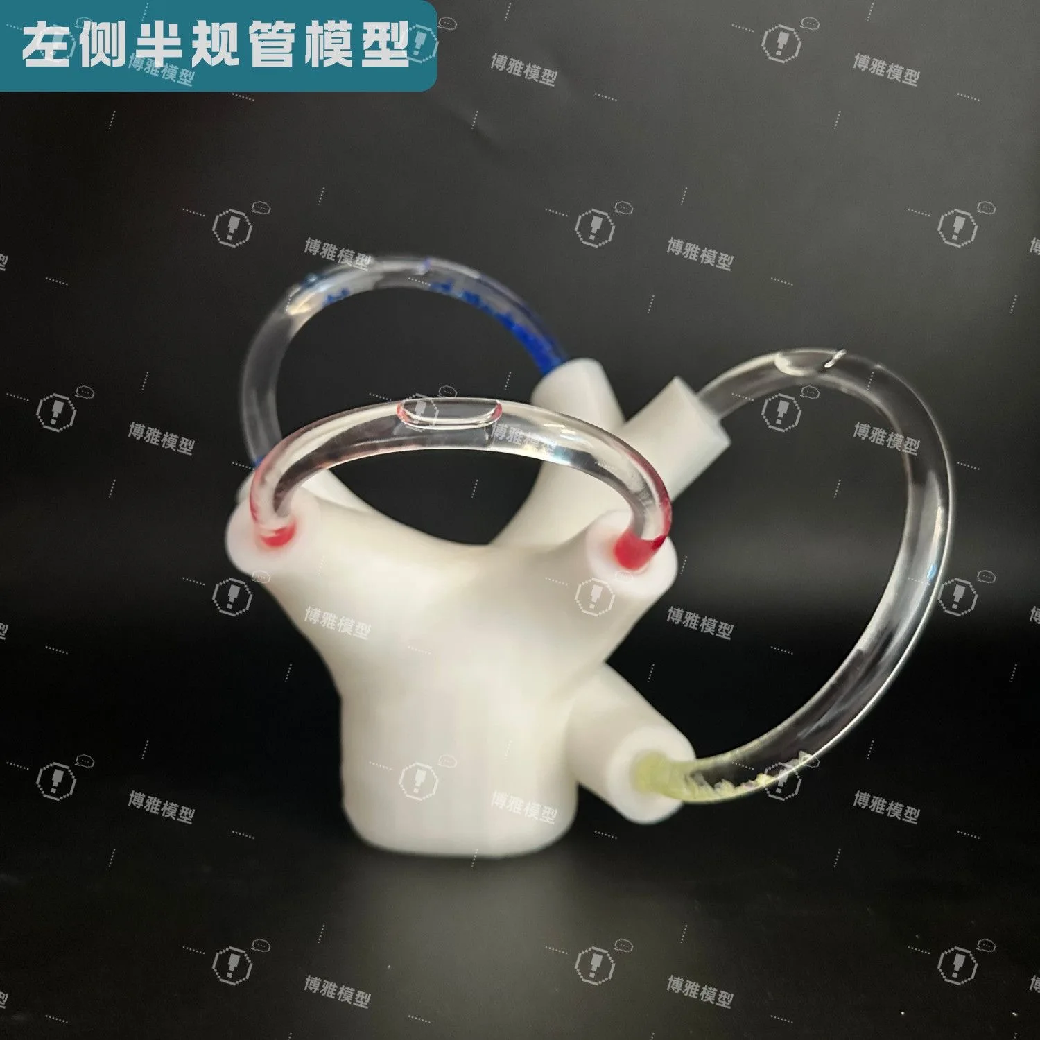 نموذج قناة نصف دائرية نموذج أوتوليث نموذج قناة نصف دائرية نموذج إعادة تحديد أوتوليث #1