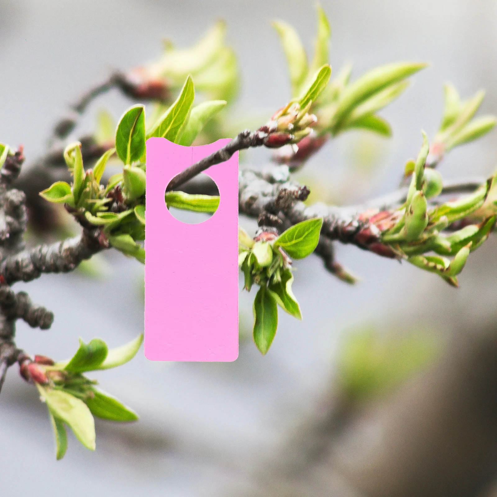 

500pcs Plant Labels Garden Tags Plastic Hole Design Hanging Pollination Marker Nursery Decoration Economical Practical