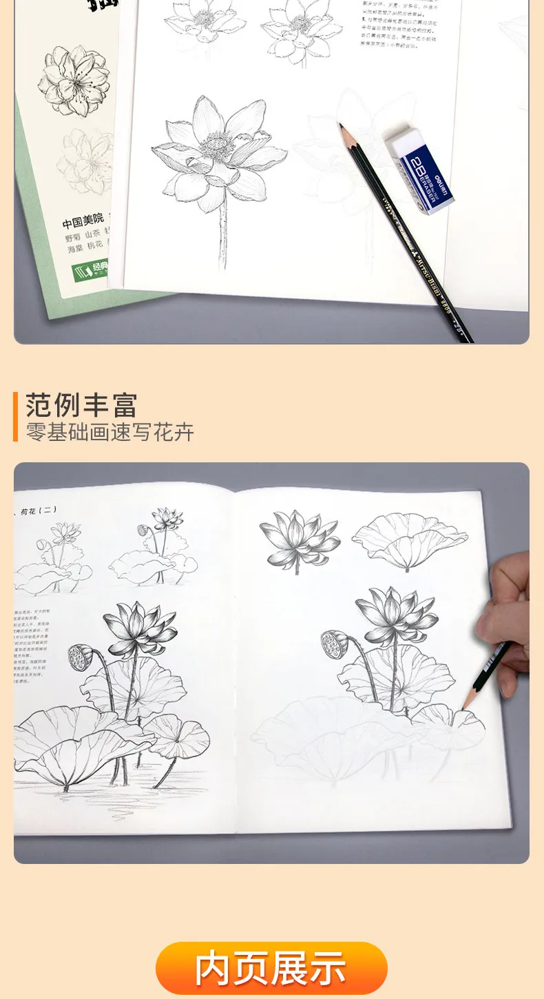 Blumen-Tier-Skizzen-Übungsheft, Null-Grundlagen-Zeichentutorial, Selbststudium, Linienkunst, Kopieren, Handzeichnung, Bleistiftskizze, Aquarell, Neu – Detail 6