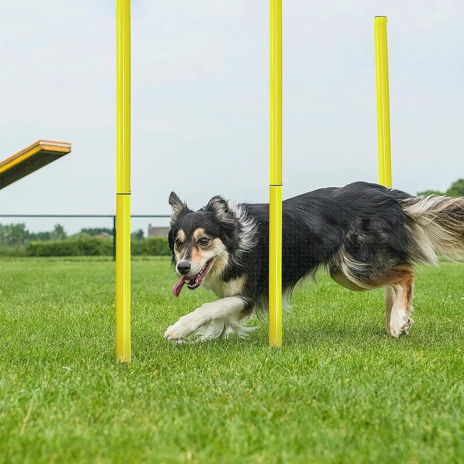 

6x Football Agility Training Poles, Soccer Training Markers, Portable Barrier