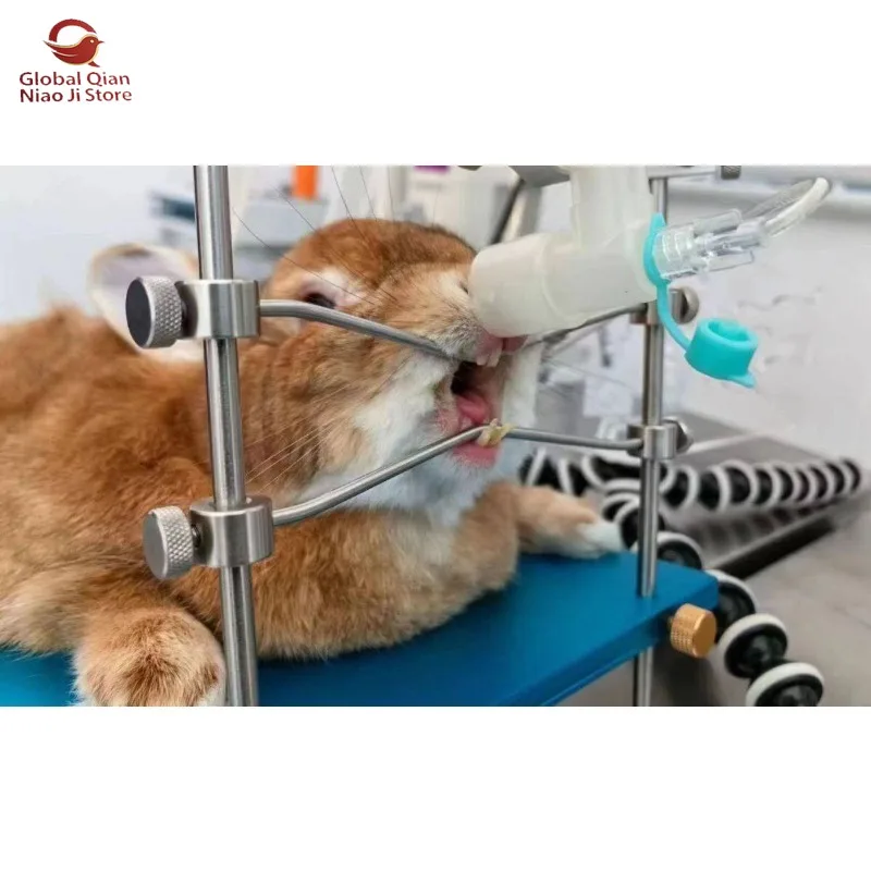 New Veterinary Precision Auxiliary Opening Instrument